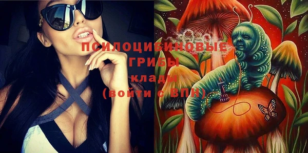 apvp Новокубанск