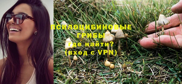 спиды Новодвинск