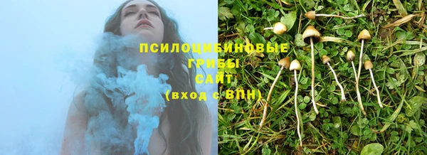 спиды Новодвинск
