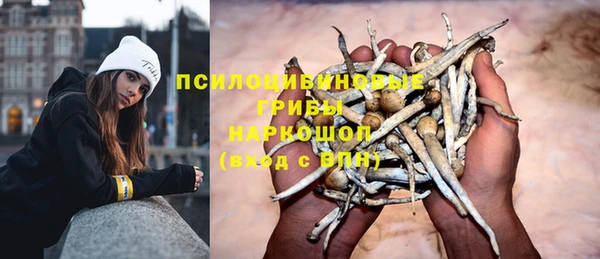 кокс Абаза