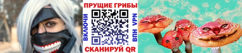 купить наркотик Лесозаводск Галлюциногенные грибы мицелий
